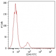 MAB5079 - CD40