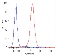 MAB5088 - CD54 / ICAM1