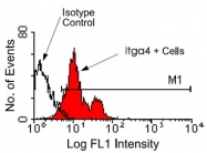 MAB5603 - CD49d / ITGA4