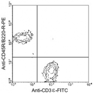 MAB5604 - CD3