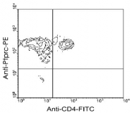 MAB5608 - CD45 / LCA