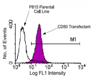MAB5610 - CD80