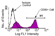 MAB5611 - CD90