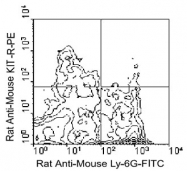 MAB5612 - CD117 / c-kit