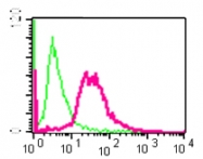 NB110-55551 - Bcl-2