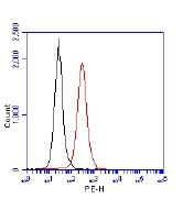 NB100-926 - TP53BP1
