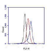 NB100-905 - HIF1A / HIF1 alpha