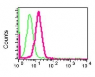 NBP1-95843 - BDKRB2