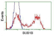 NBP1-47680 - BUB1B