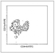 NBP1-27871 - CD11a / ITGAL