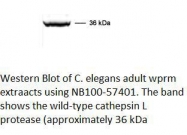 NB100-57401 - CPL-1