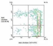 NBP1-28357 - VSIG1