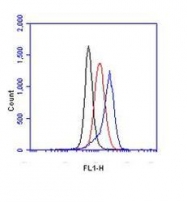 NB100-449 - HIF1A / HIF1 alpha