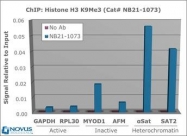 NB21-1073 - Histone H3.2