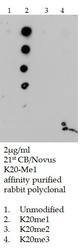 NB21-2088 - Histone H4