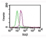 NB100-56509 - IKBKB / IKKB