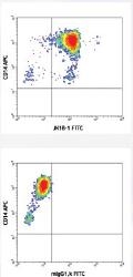 NB100-78217 - Interleukin-1 beta / IL-1B