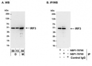 NBP1-78769 - IRF3