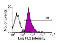 NBP1-27889 - CD18 / ITGB2
