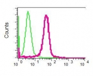 NBP1-95723 - UNC13D