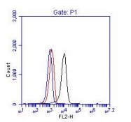 NBP1-19098 - BCR