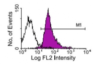 NBP1-27890 - CD18 / ITGB2