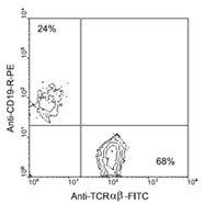 NBP1-28061 - T Cell Receptor (TCR) alpha/beta