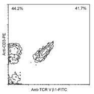 NBP1-28280 - T Cell Receptor (TCR) alpha/beta