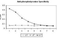 NB600-907 - Phosphotyrosine