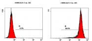 NB100-1831 - CD15
