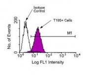NBP1-28061 - T Cell Receptor (TCR) alpha/beta