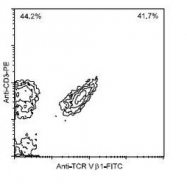 NBP1-28281 - T Cell Receptor (TCR) alpha/beta
