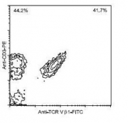 NBP1-28282 - T Cell Receptor / TCR alpha/beta