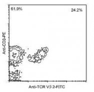 NBP1-28285 - T Cell Receptor / TCR alpha/beta
