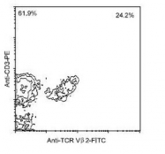 NBP1-28284 - T Cell Receptor / TCR alpha/beta