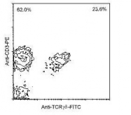 NBP1-28277 - T Cell Receptor (TCR) gamma/delta
