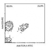 NBP1-28275 - T Cell Receptor (TCR) gamma/delta