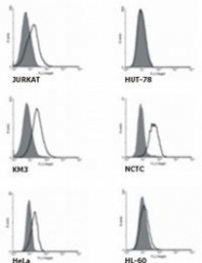 NB500-345 - TNFRSF21 / Death receptor 6 (DR6)