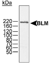 NB100-918 - BLM