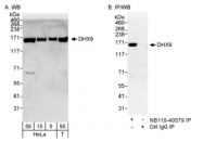 NB110-40579 - DHX9