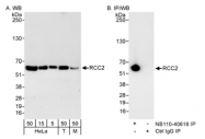 NB110-40619 - RCC2