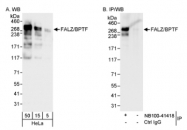 NB100-41418 - BPTF / FAC1