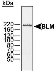NB100-214 - BLM