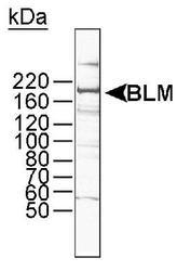 NB100-324 - BLM