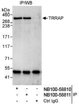 NB100-58810 - TRRAP / PAF400