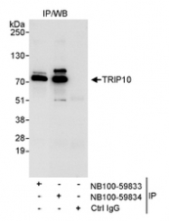 NB100-59833 - TRIP10
