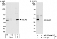 NB100-60425 - MAK16 / RBM13