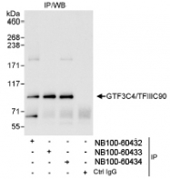 NB100-60433 - GTF3C4