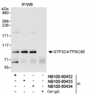 NB100-60434 - GTF3C4