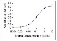 NB100-75556 - IFNA2 / Interferon alpha-2